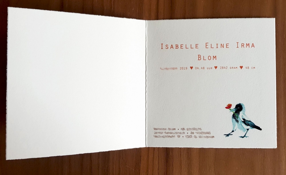 Geboortekaartje Isabelle Blom